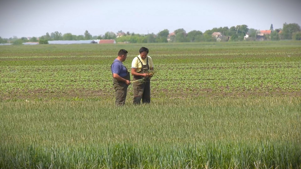 Kakve novine predviđa Nacrt zakona o sredstvima za zaštitu bilja?