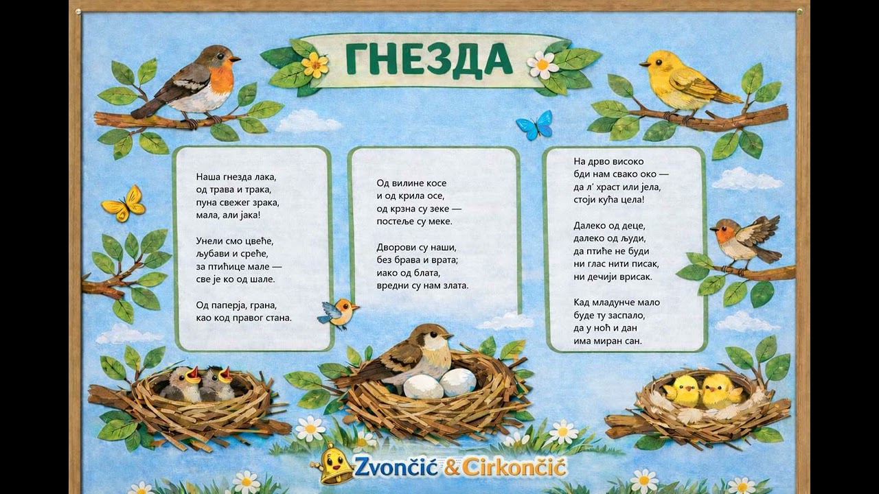 🪺🐦Гнезда🪺🐦
