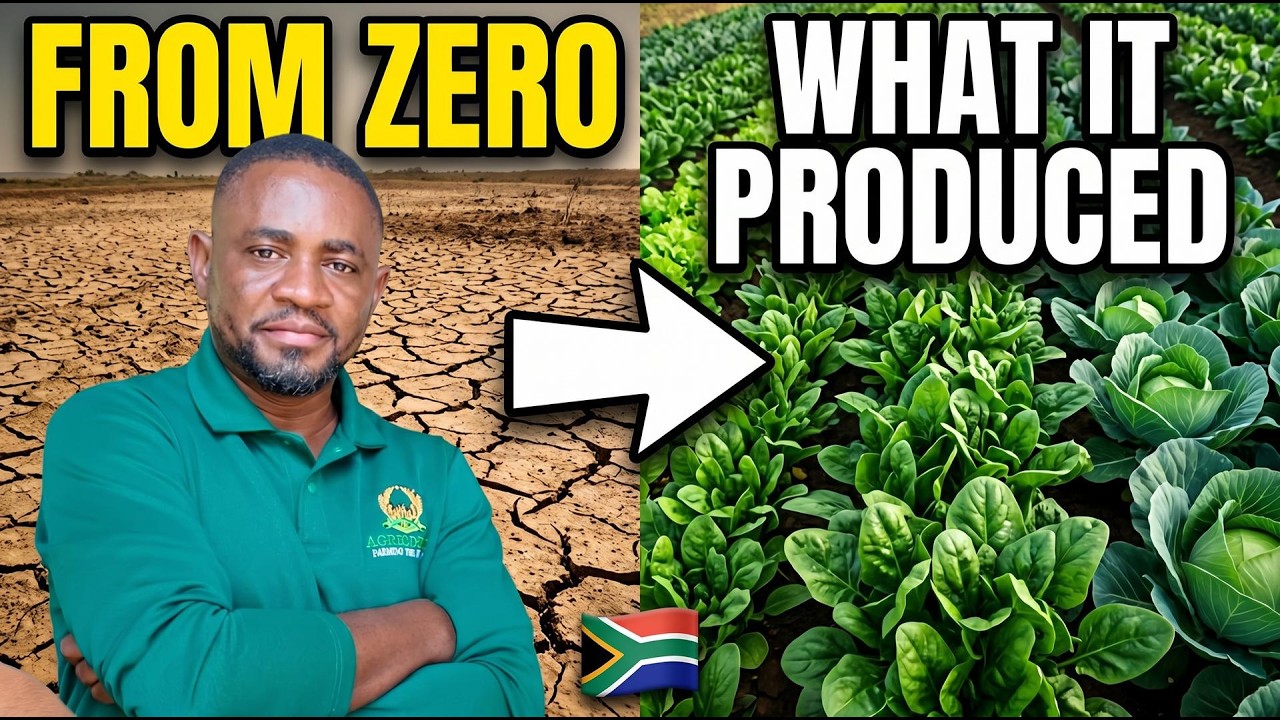 How We Turned Raw Land Into a Working 2 Hectare Farm (Start to Finish)