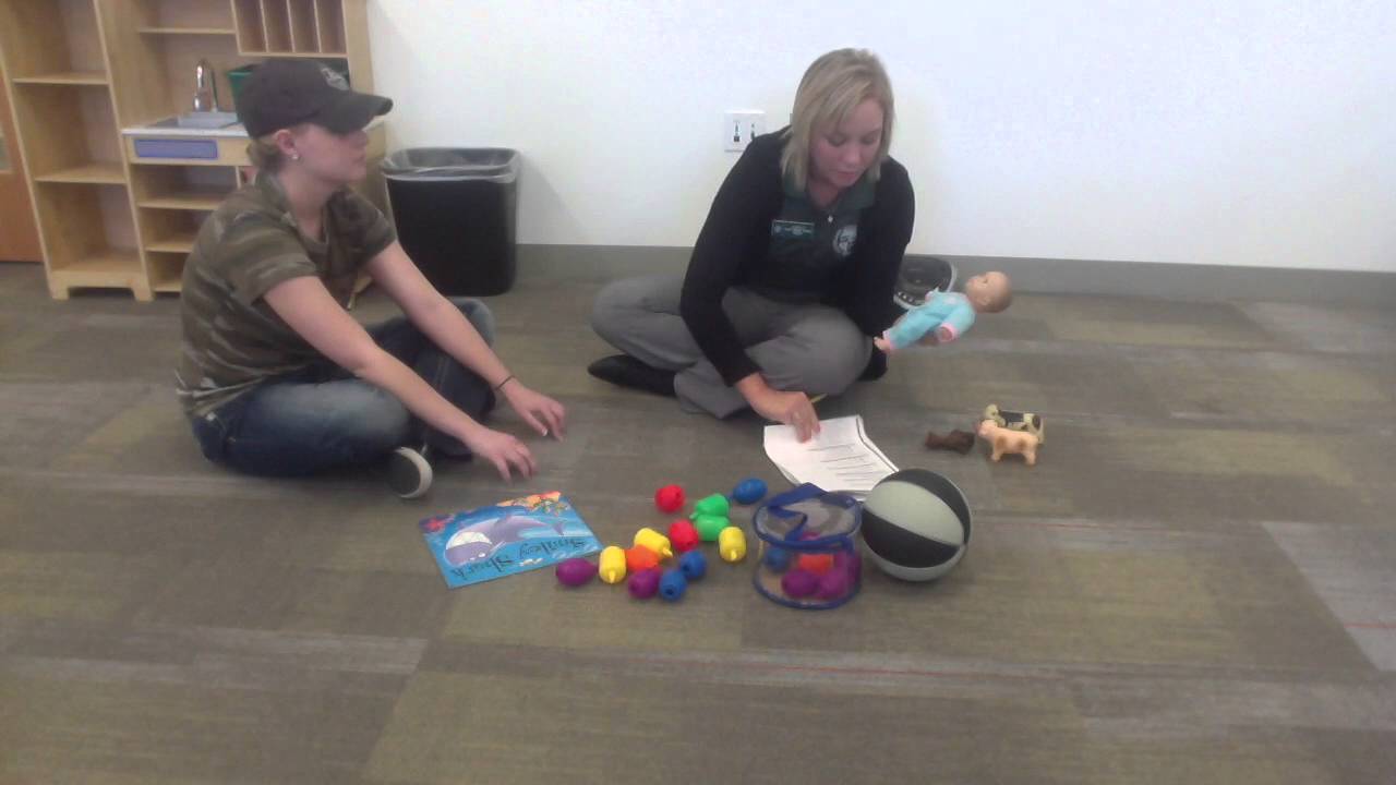 Rossetti Infant-Toddler Language Scale