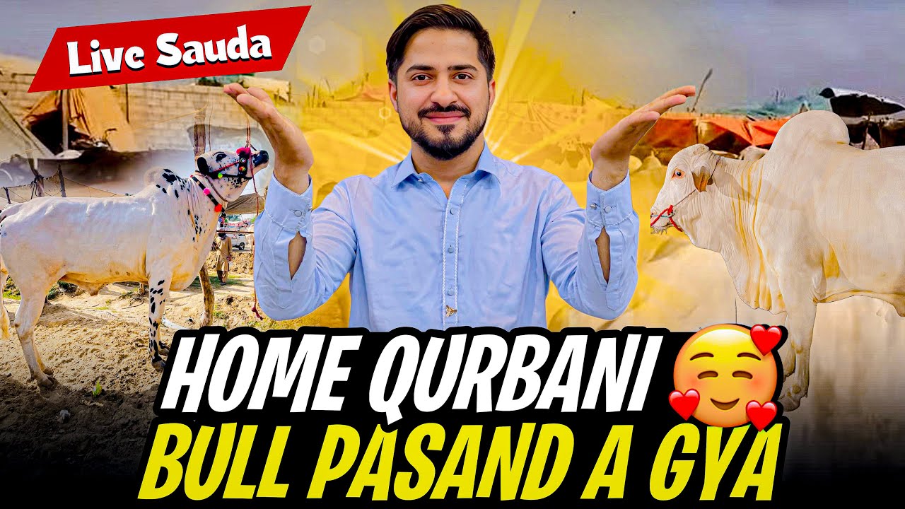 Home Qurbani😍| Bull Pasand a gya | Live Sauda