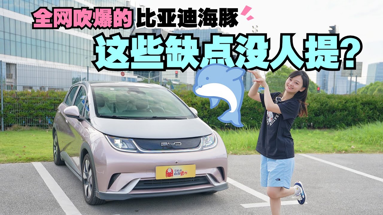 全网吹爆的比亚迪海豚，这些缺点没人提？