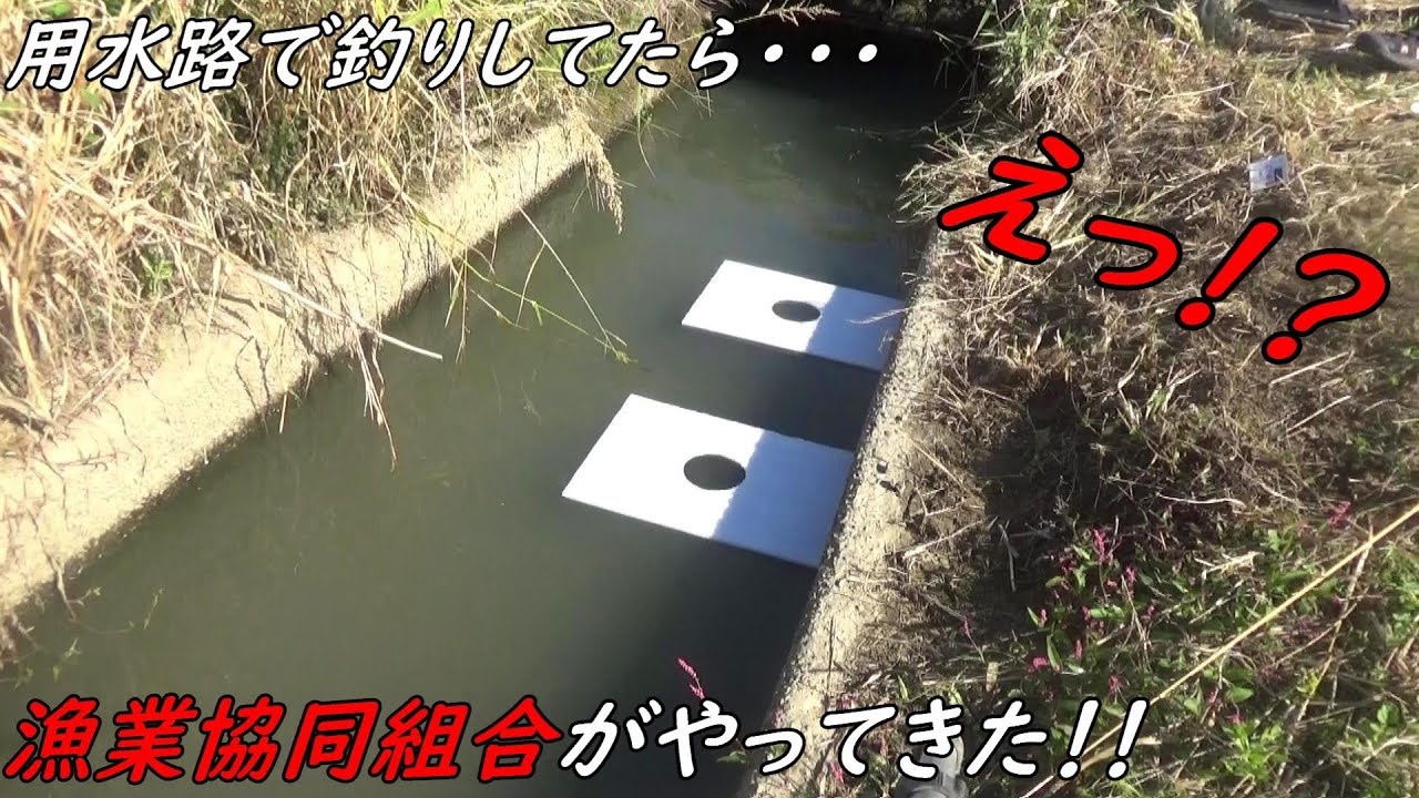 え！？用水路でも釣り券必要なんですか！？