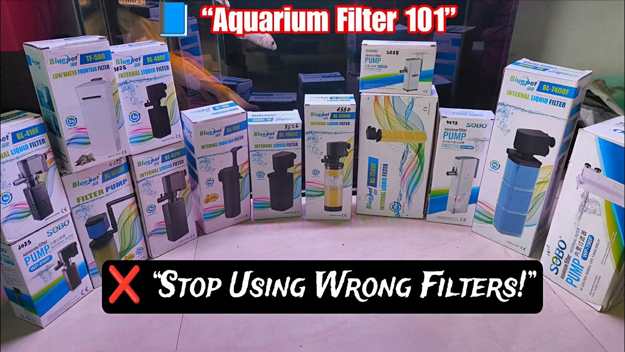 Which Internal Filter is Best for Your Aquarium? Full Guide & Setup. #Internalfilter #h2oaquarist