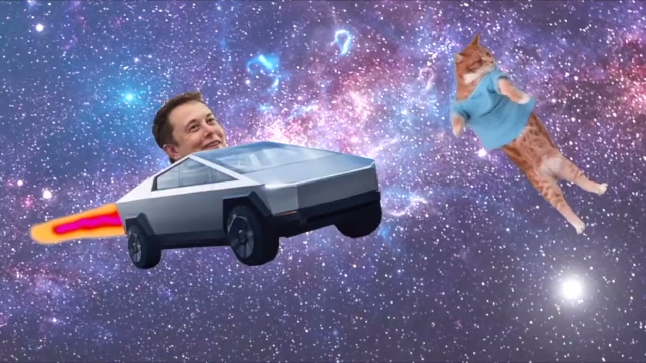 Keyboard Cat-Elon-Tesla