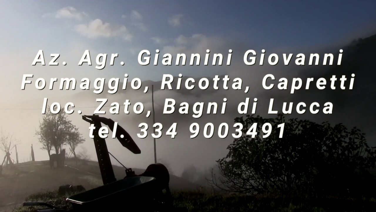 La Giornata del Capraro (Le capre della Controneria)