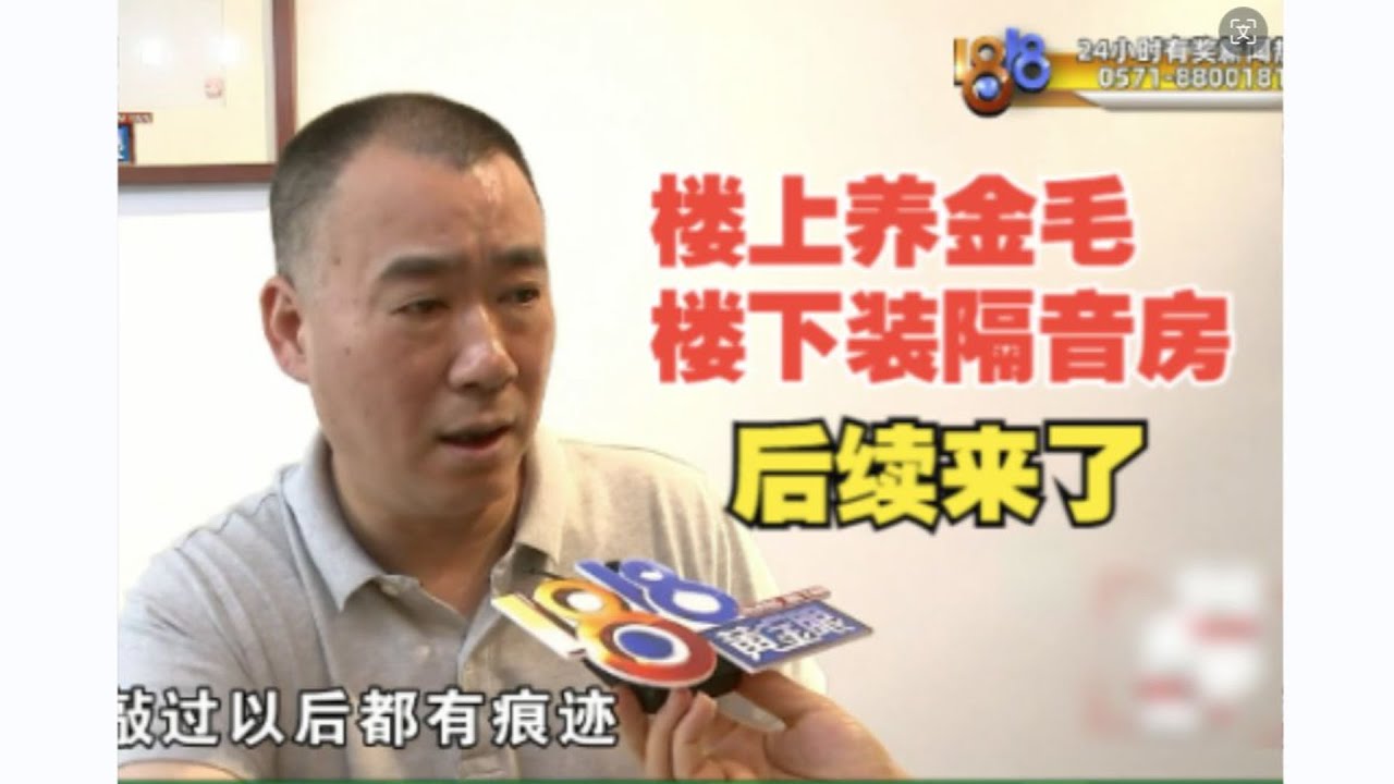 【1818黄金眼】楼上养金毛楼下装隔音房 后续：楼上表示“身心俱疲”