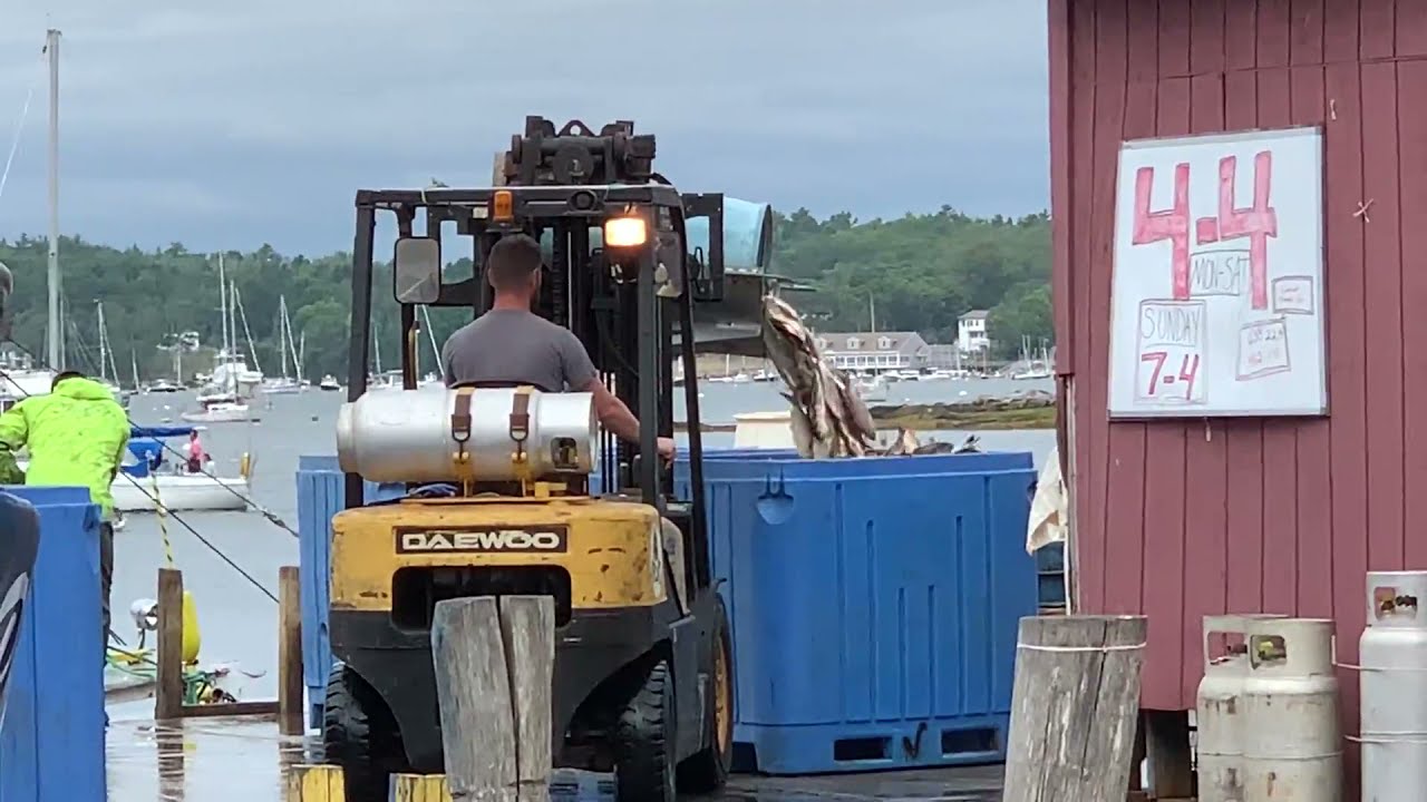The Working Waterfront District BBH