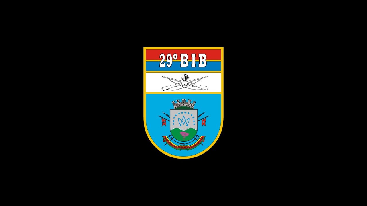 29&ordm; BIB PER&Iacute;ODO B&Aacute;SICO 2020