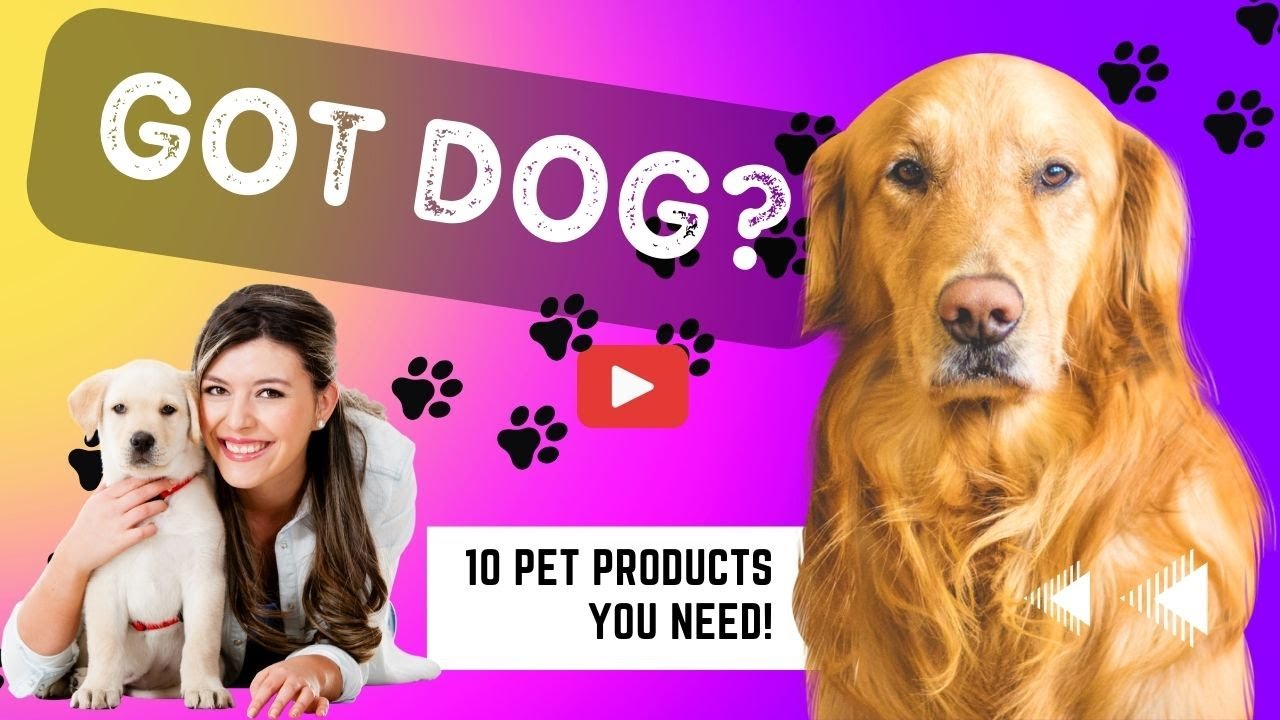 10 Amazon Dog Products - Must Haves & Favorites For #dogs