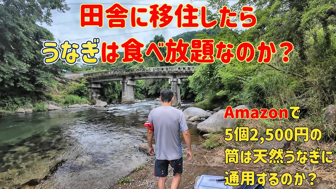 【伊豆河津町】田舎に移住したらうなぎは食べ放題なのか？【田舎暮らし】