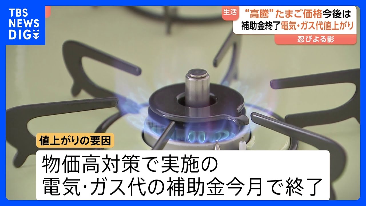 イラン情勢受け深刻な&ldquo;原油高&rdquo;　4月の電気・ガス代&uarr;・たまご・おしぼりにまで影響　生活に忍びよる価格高騰の波｜TBS&nbsp;NEWS&nbsp;DIG