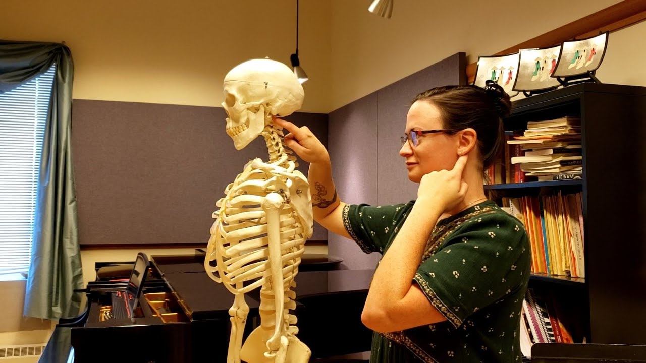 Where is the top of your neck? Head and neck mechanics in Alexander Technique