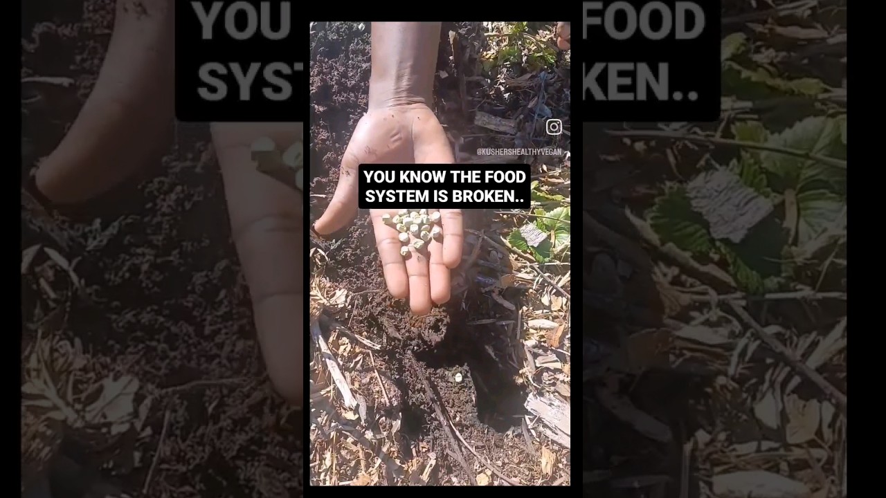 YOU KNOW THE FOOD SYSTEM IS BROKEN! #garden #gardening #farming