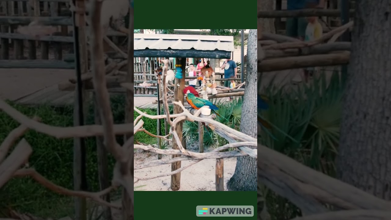 Brief Tour of the Gator Spot (Animal Exhibit located inside Fun Spot) located in Orlando, Florida