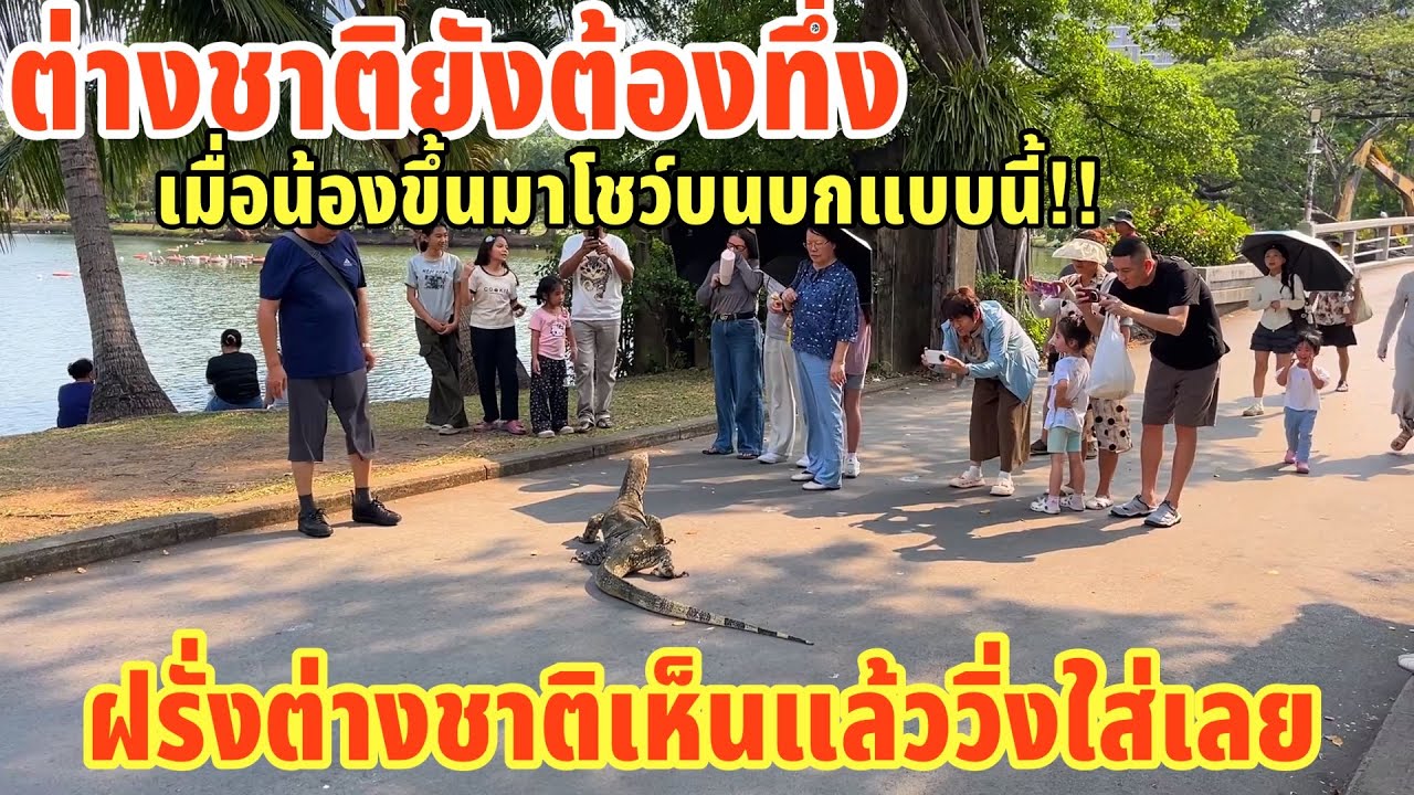ต่างชาติยังต้องทึ่งเมื่อน้องขึ้นมาโชว์บนบกแบบนี้!! ฝรั่งต่างชาติวิ่งใส่เลย