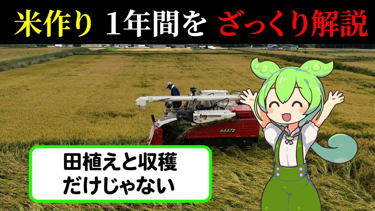 【農家さんに感謝！】米作りの１年（ver.1.0）