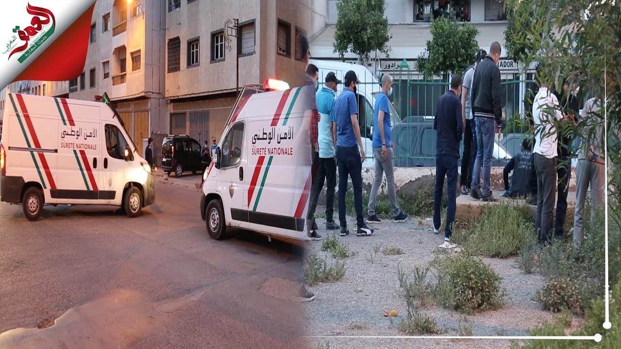 جثة كلب داخل بالوعة للصرف الصحي تستنفر أمن البيضاء