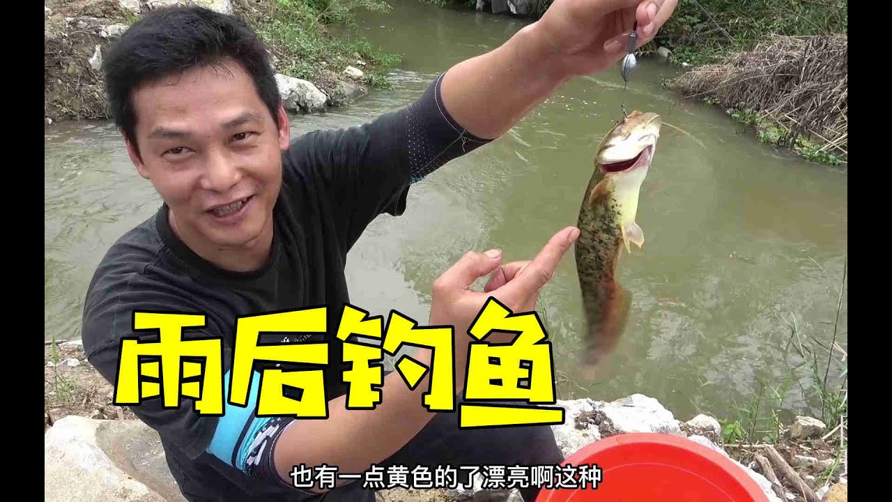 农村发洪水后这种地方堪比鱼窝，阿琪下竿值钱靓货连上十几条，赚翻了【农村阿琪】