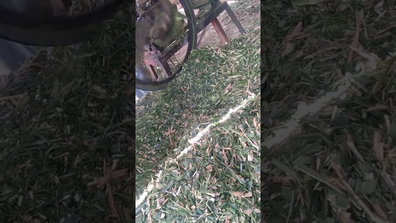 @Feed Formulation Techniques