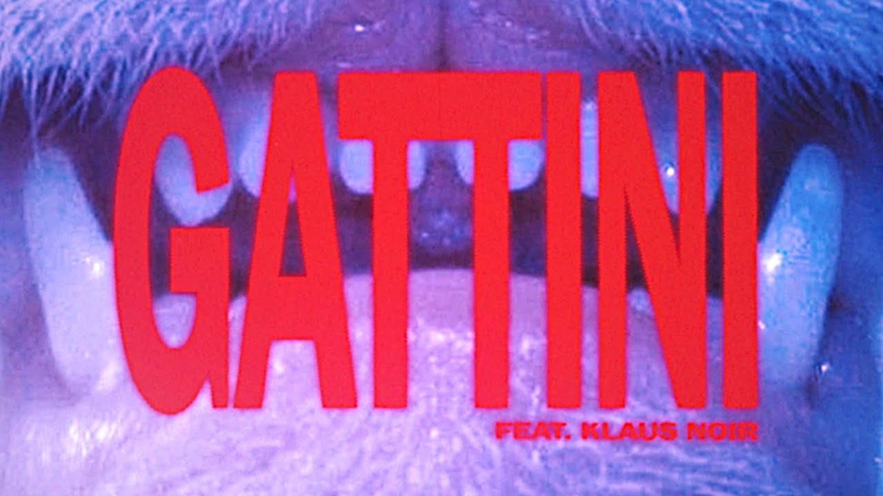 Stain The Canvas - GATTINI feat. KLAUS NOIR (Visualizer)
