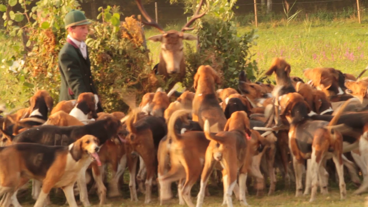 Drag Final Fete de la Chasse Montpoupon 2017