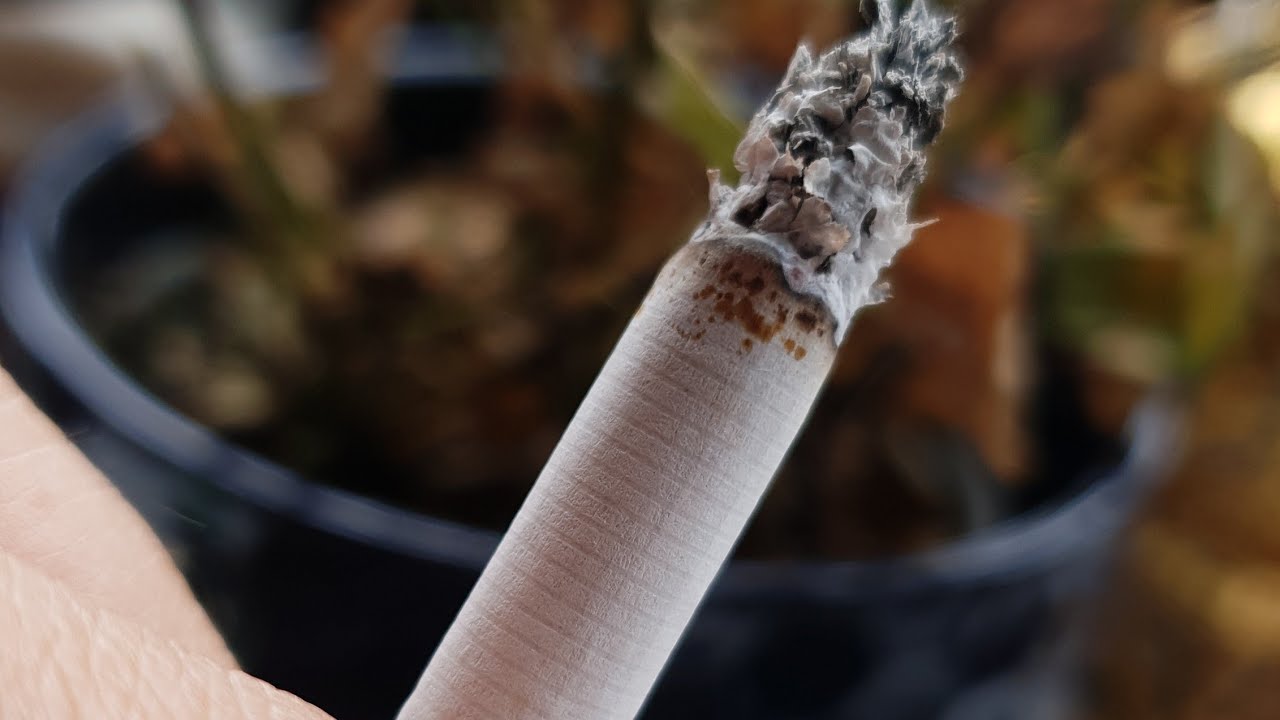 #Heets, #Iqos Whats is inside a Heet...