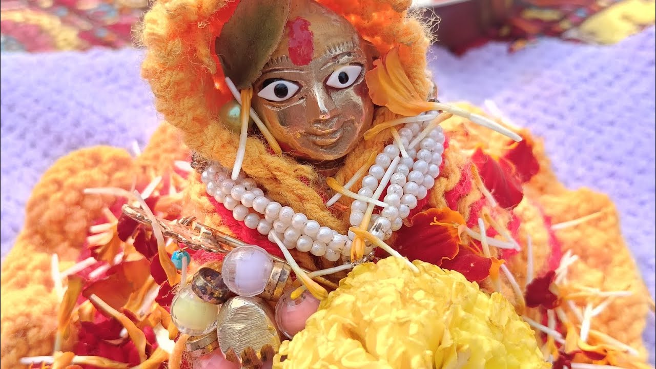 Laddu Gopal ka partidin shan ka video 