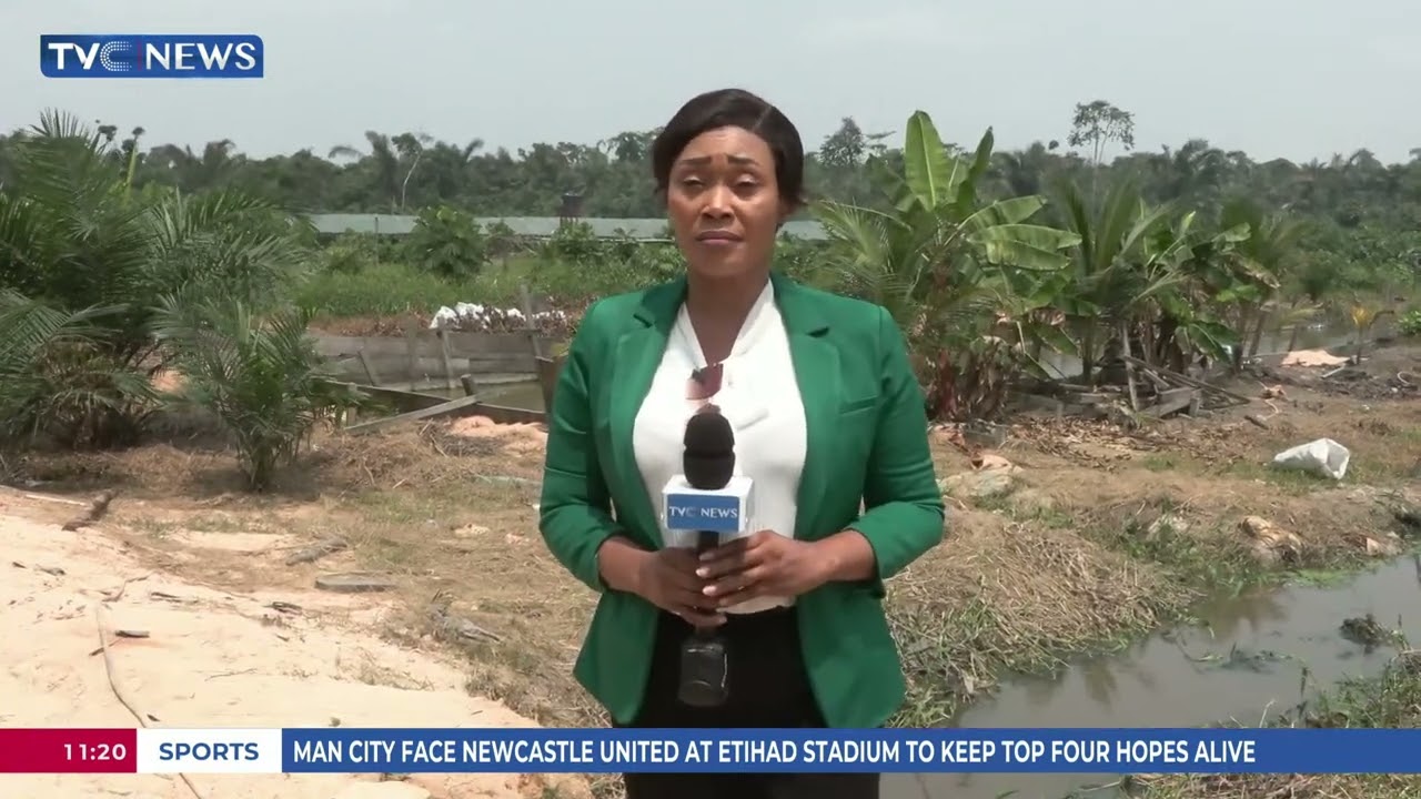 FG Moves To Revive Obudu Cattle Ranch In Cross River State