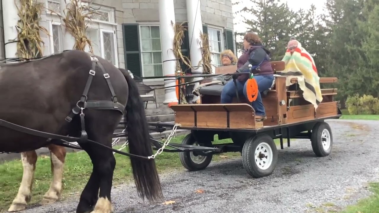 Just as good as a sleigh ride!