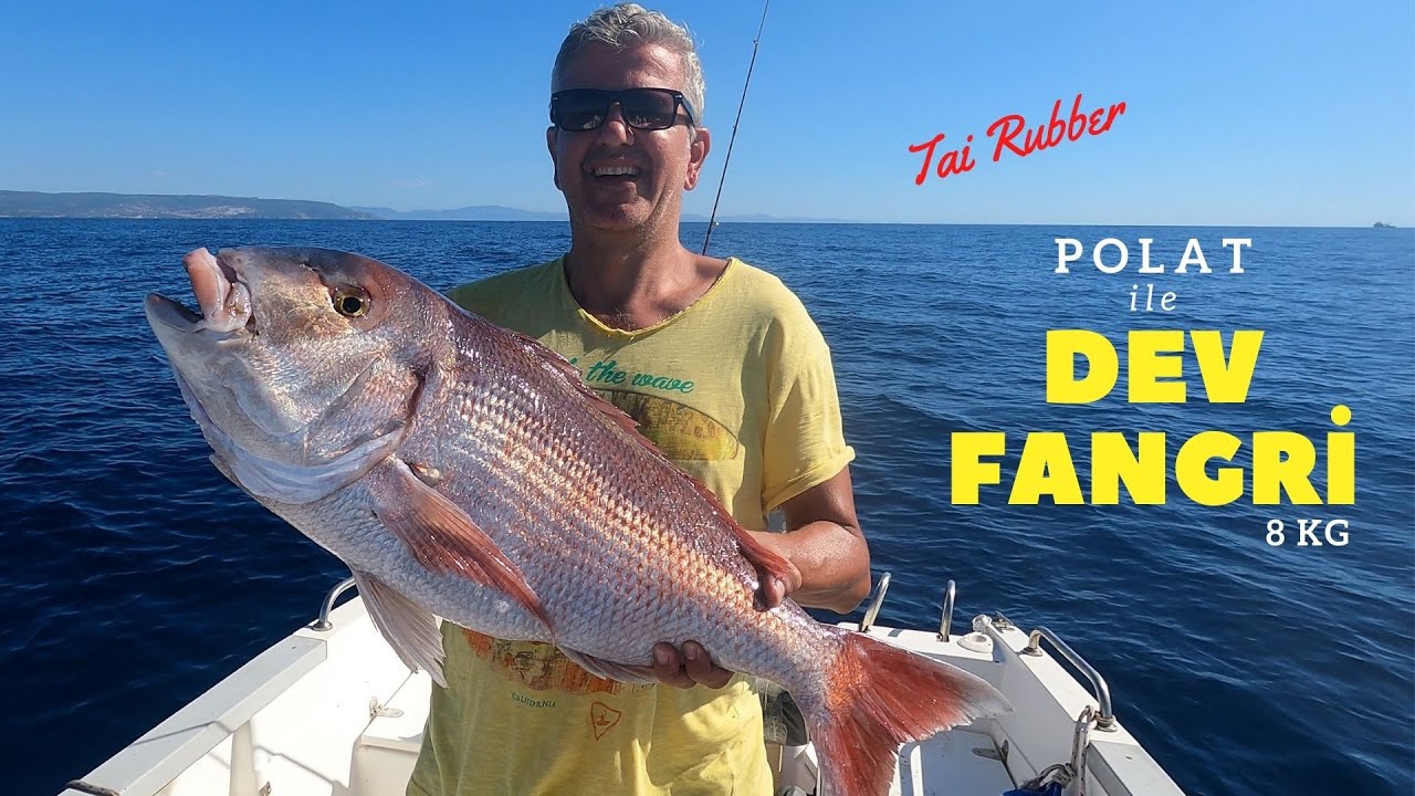 Polat ile Dev Fangri Mercan - Tai Rubber