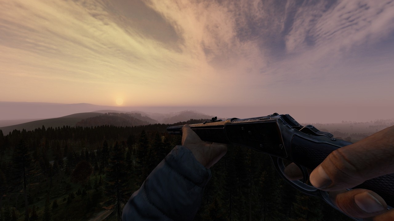 We Survive The Busiest DayZ Server!