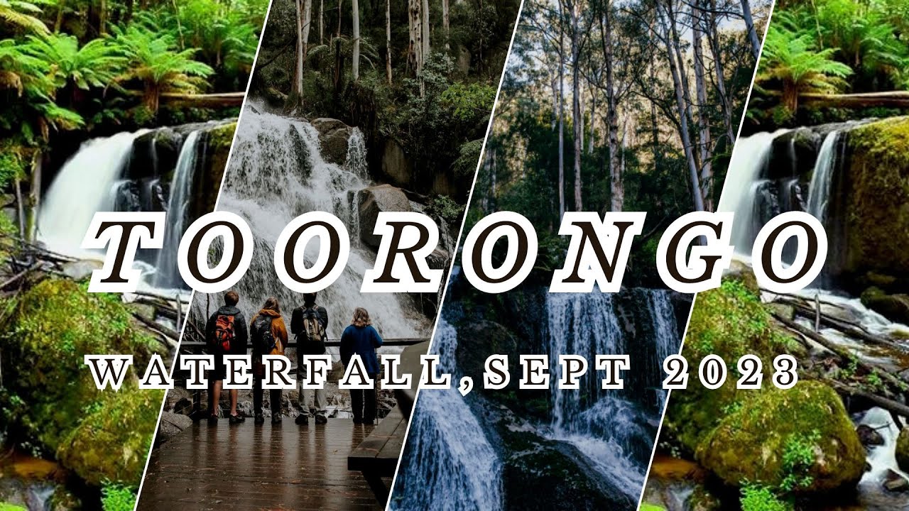 Toorongo Waterfall Trail: A Day in the Rainforest | Toorongo and Amphitheatre Falls Loop Walk