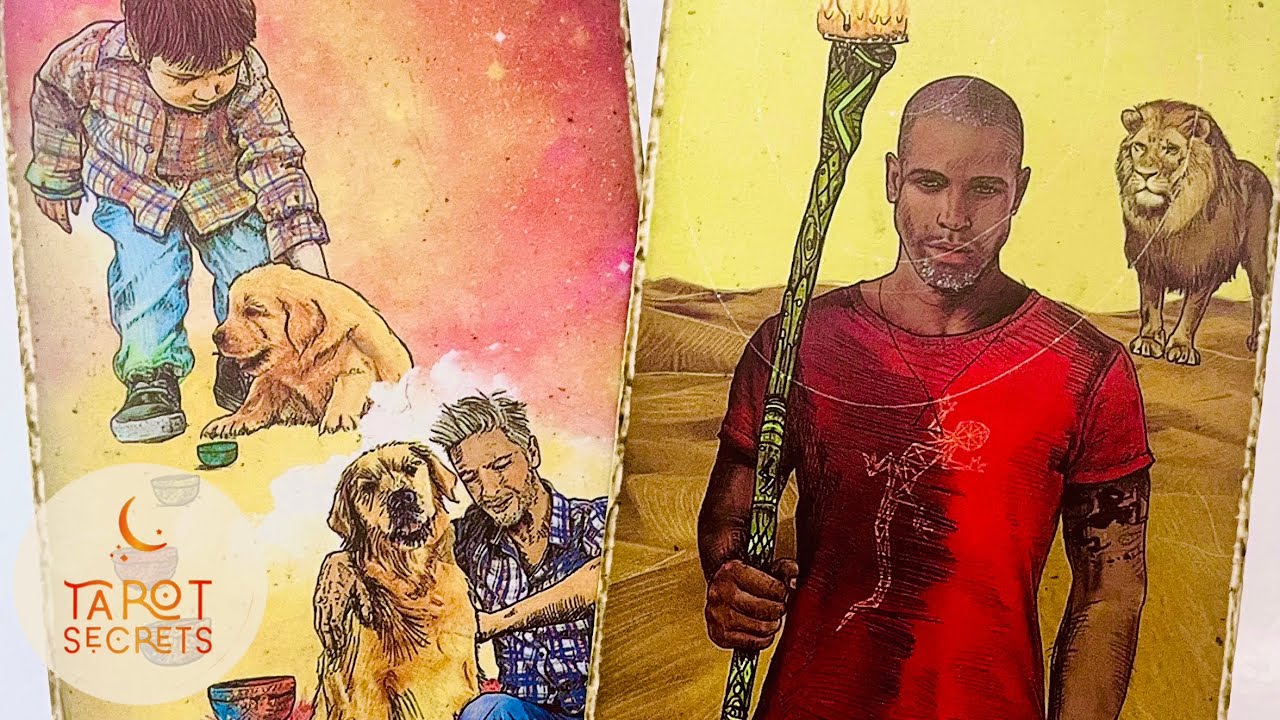 💖A CONFIRMAÇÃO de que a sua INTUIÇÃO está certa… | Tarot, Amor