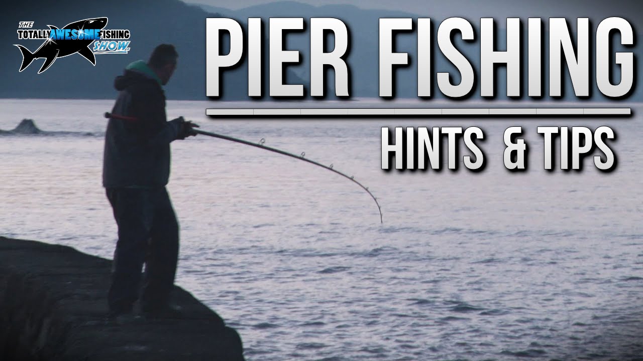Fishing from a Pier - Rigs, Tips & Tactics | TAFishing