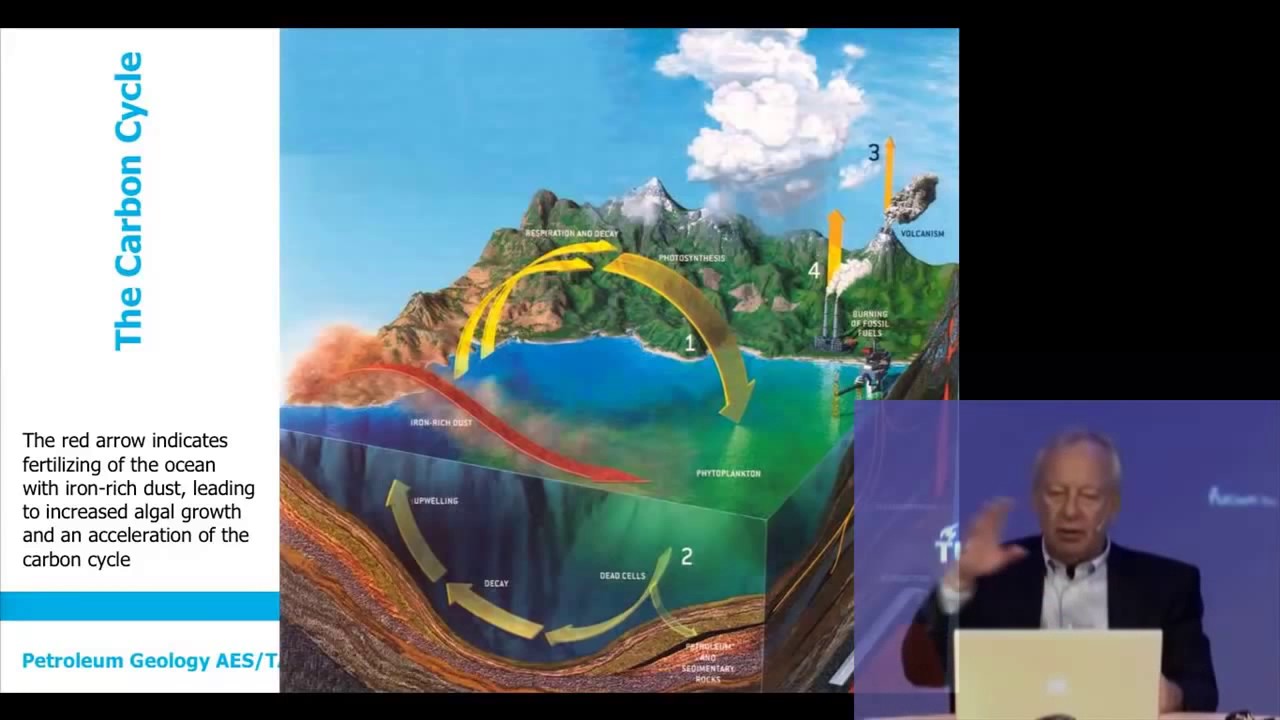 Petroleum Geology: The carbon cycle, organic matter and maturation