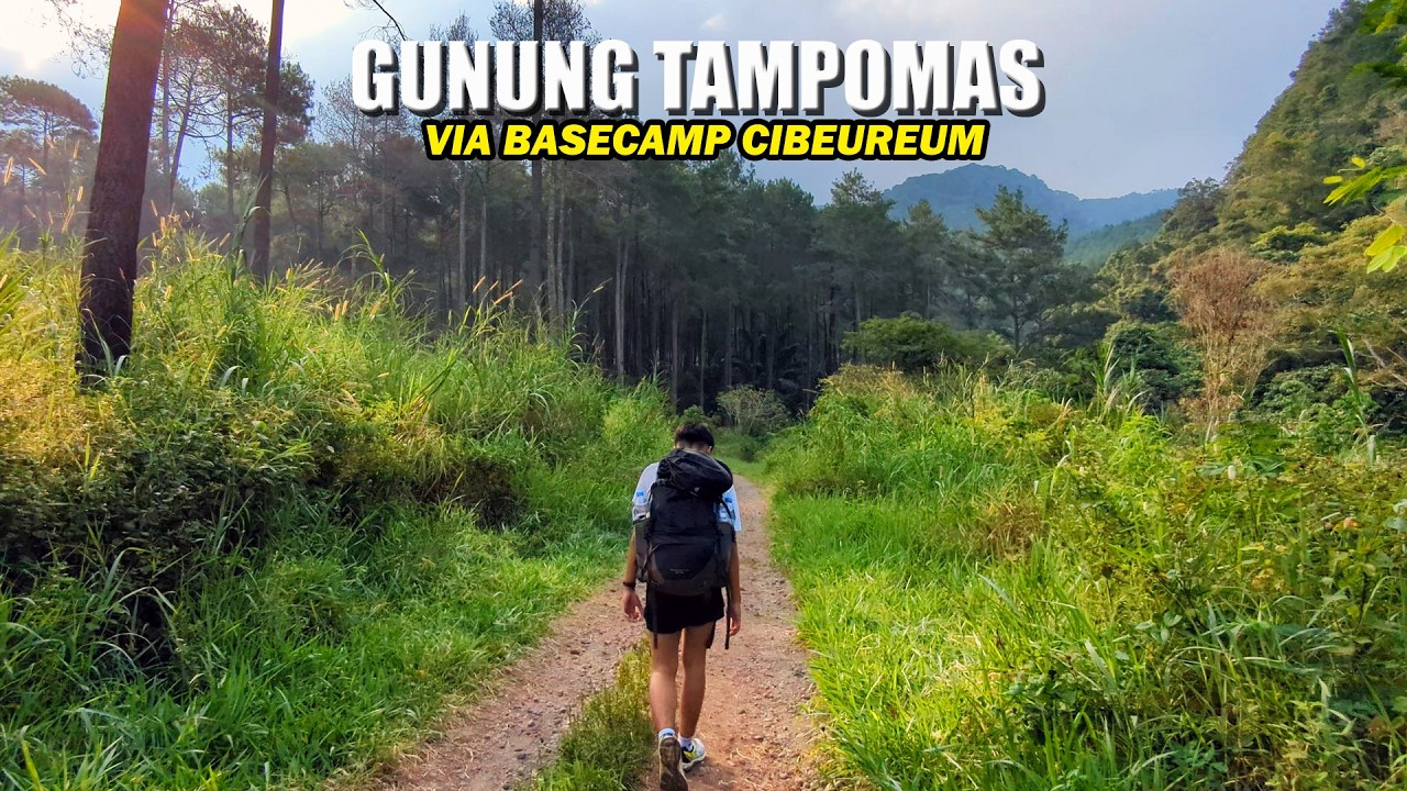 PENAMPAKAN PENGHUNI GUNUNG TAMPOMAS | GUNUNG TAMPOMAS VIA CIBEUREUM