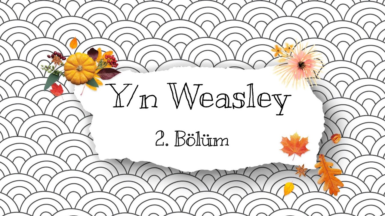 Y/n Weasley -2. Bölüm [Harry Potter & Y/n]