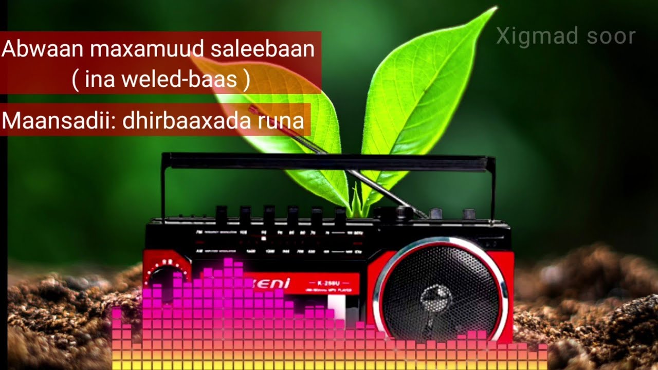 Maansadii: dhirbaaxada runa | abwaan maxamuud saleebaan xirsi ( ina weled-baas) | by Xigmad soor.