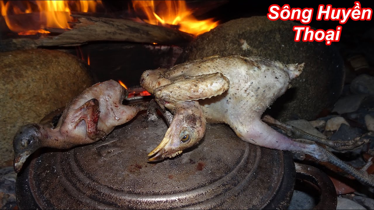 Vào Rừng Bẫy Chim Cút, Ngủ Rừng & Săn Gà Đêm - Sông Thạch Thảo | T1