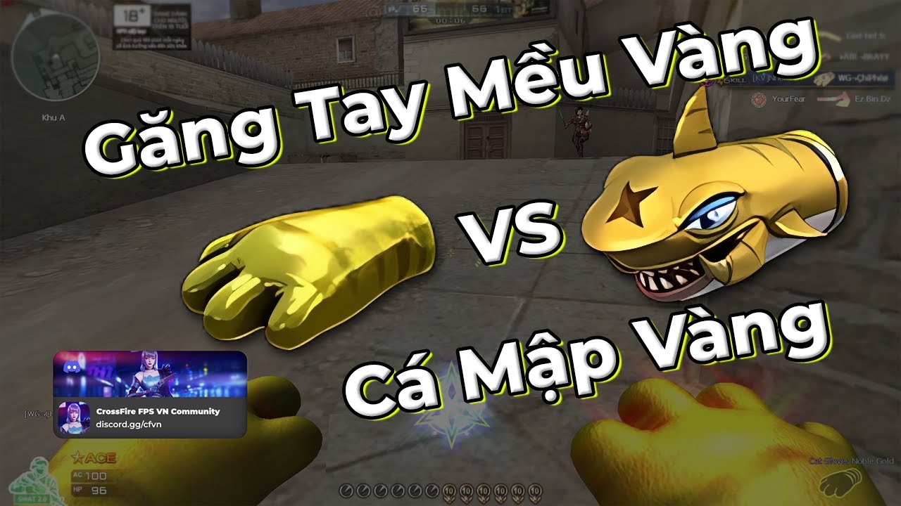 GĂNG TAY MÈO VÀNG vs CÁ MẬP VÀNG | VŨ KHÍ NÀO NHANH HƠN? | SO SÁNH VŨ KHÍ CF