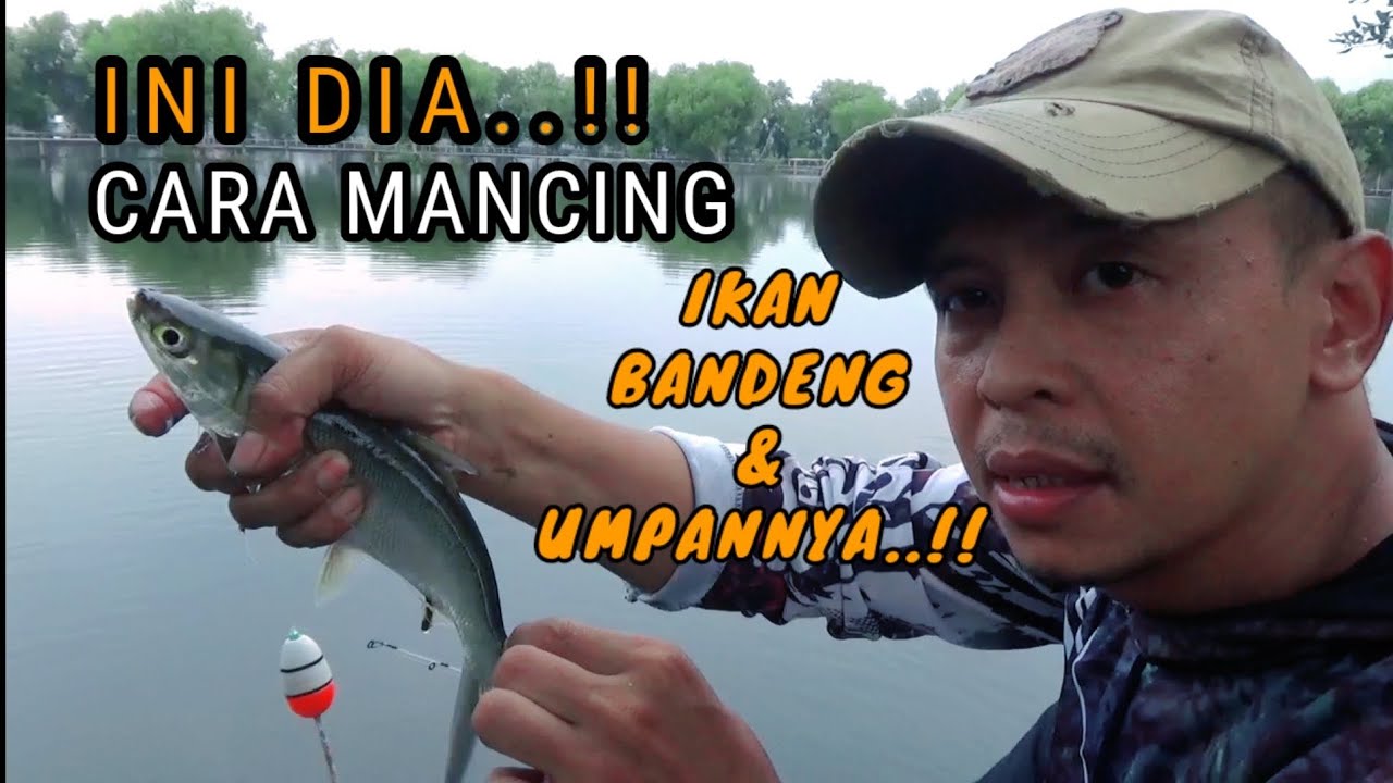 Ini Dia Cara Mancing Ikan Bandeng Dan Umpannya