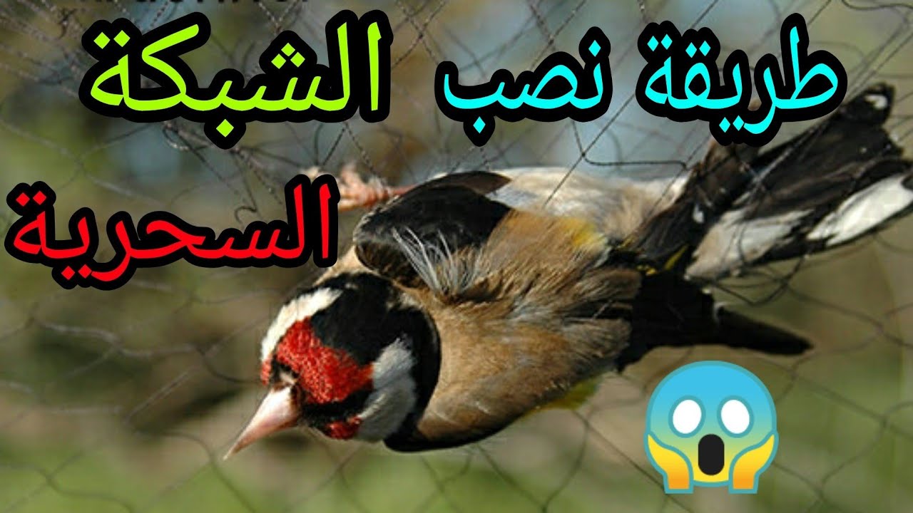 طريقة نصب الشبكة الهوائية