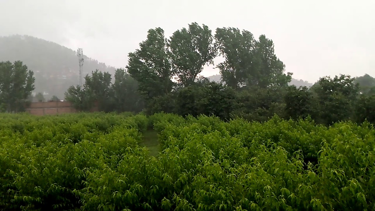 Beautiful rain in swat. Beautiful swat valley Switzerland of asia