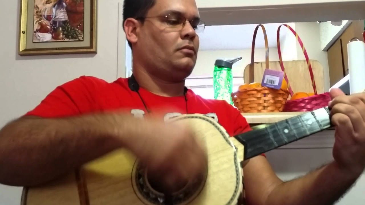 Viva Veracruz 1 Mariachi  Vargas(Vihuela)