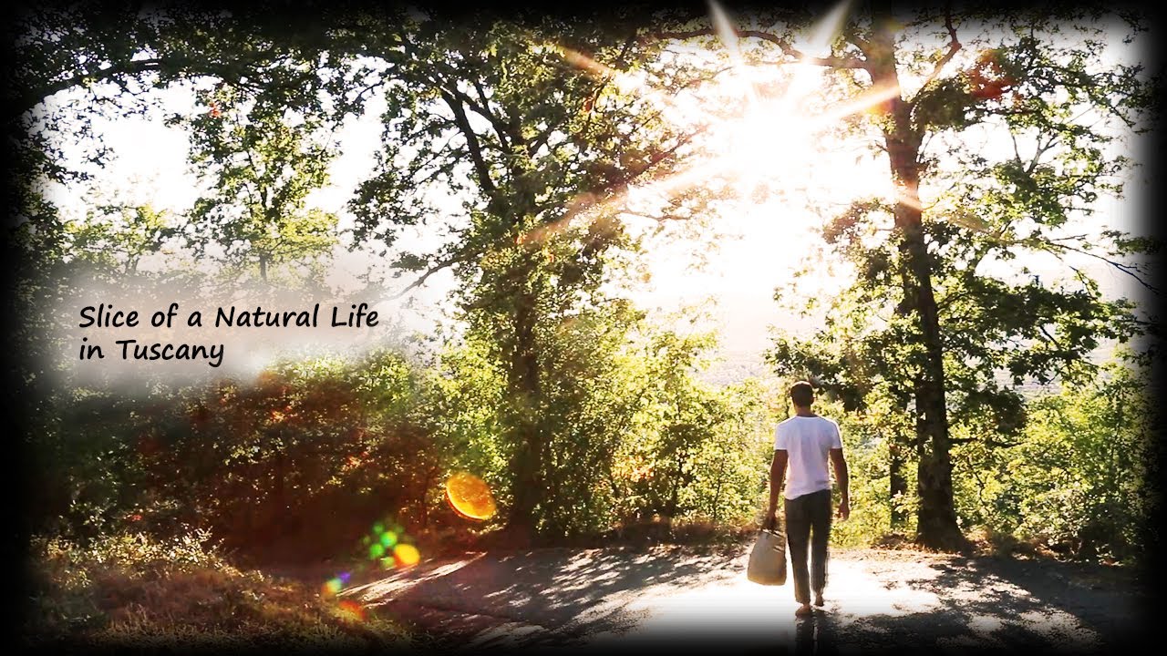 Slice of a Natural Life in Tuscany (tomatoes, zhan zhuang, panzanella and much more)