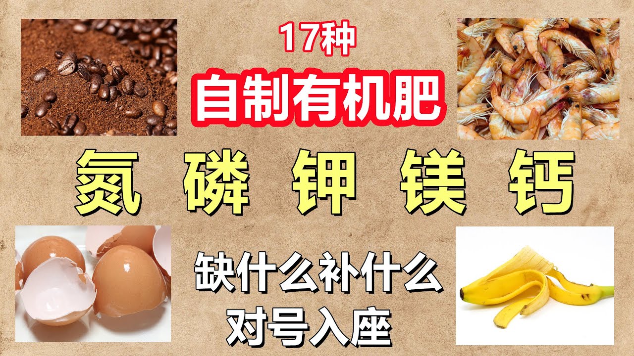 17种自制氮磷钾镁钙有机肥, 不花钱对症下药