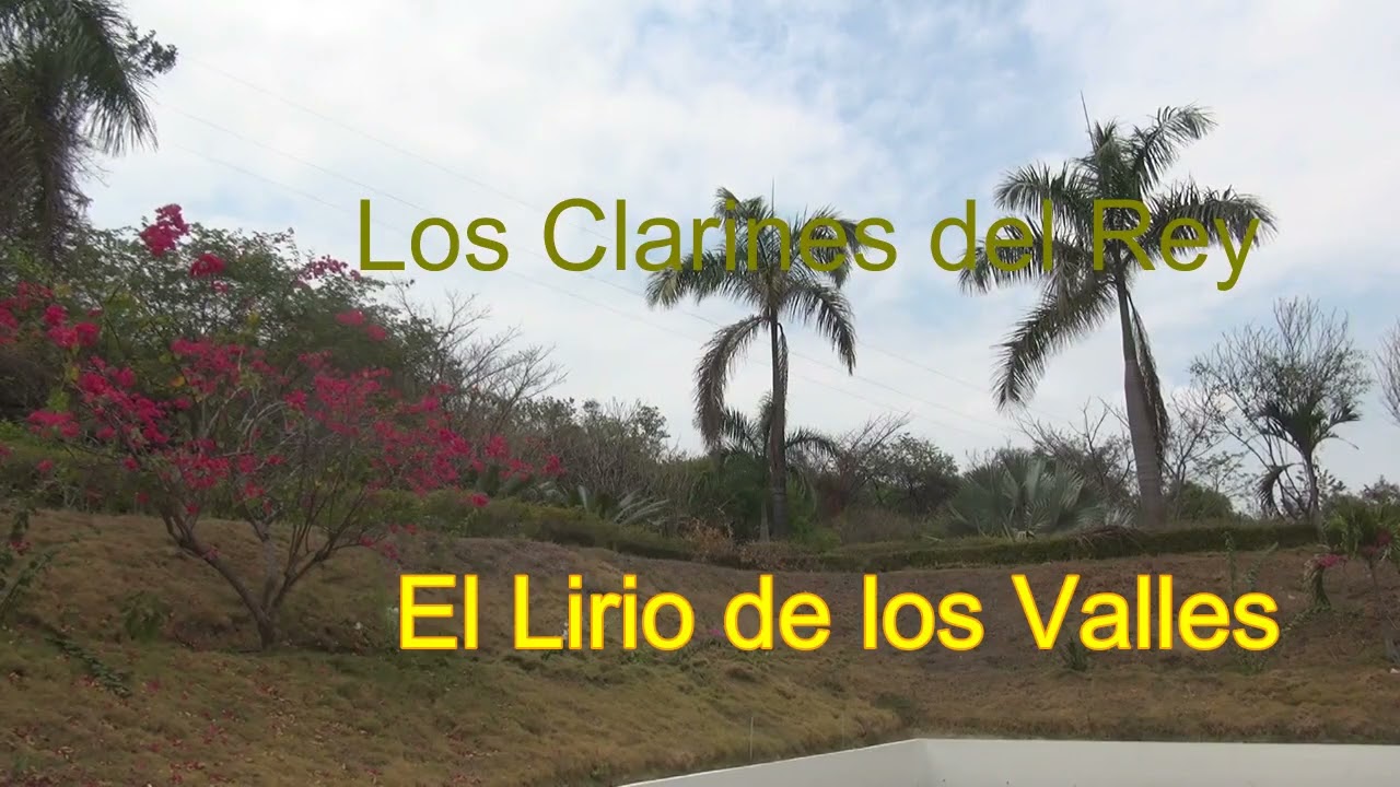 El lirio de los valles Trio Los Clarines del Rey