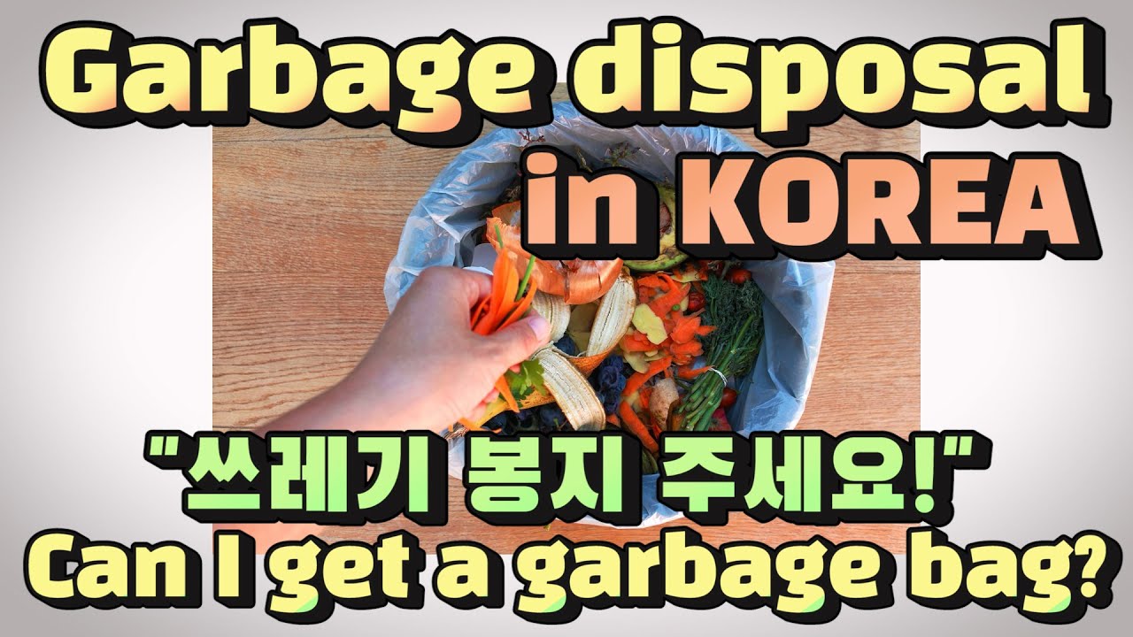 Must pay for your garbage in Korea! + KOR words & expressions |Korean Things|