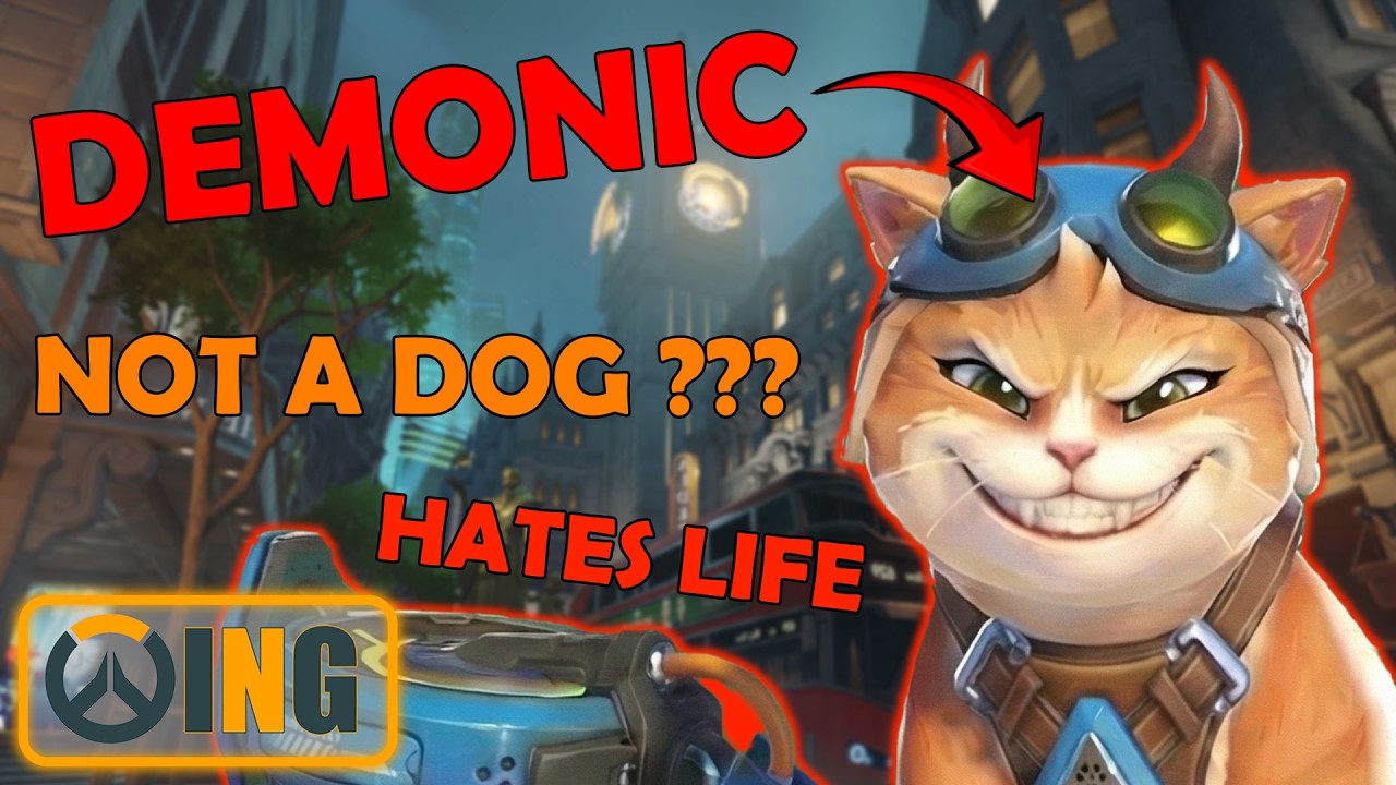 What Is Jetpack Cat (Dog???) Even About? | Overwatch (1)
